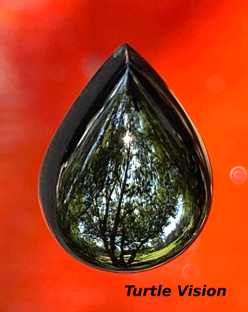 Mirror finished jade, 17mm tall black jade teardrop reflecting a small park in California's gold country.