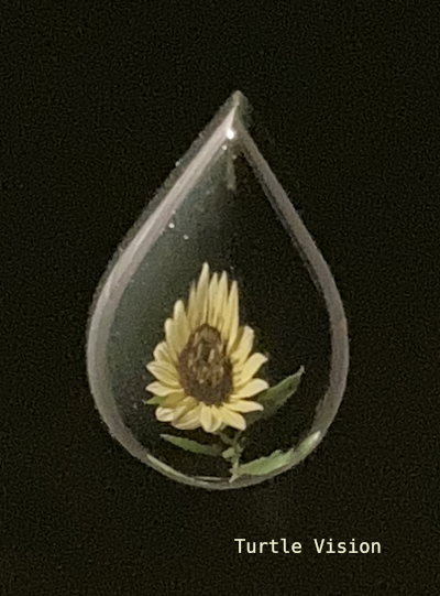 Mirror finished jade, 12mm tall    black jade teardrop reflecting a sunflower